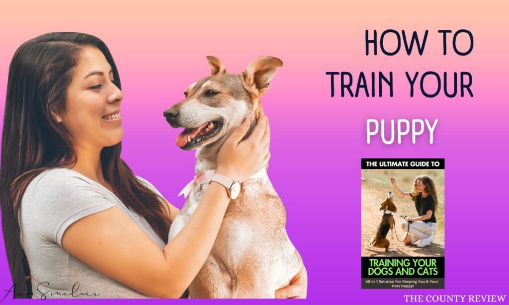 train your pet Review