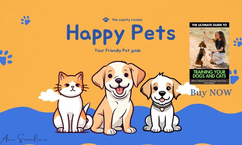 train your pet Review